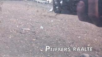 Opel Corsa Corsa E, Hatchback, 2014 1.4 16V picture 21