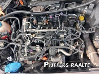 Volkswagen Polo Polo V (6R), Hatchback, 2009 / 2017 1.6 TDI 16V 105 picture 28