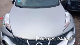 Nissan Juke Juke (F15), SUV, 2010 / 2019 1.6 16V picture 9