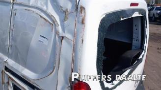 Opel Combo Combo Cargo, Van, 2018 1.5 CDTI 100 picture 10