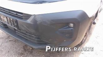 Opel Combo Combo Cargo, Van, 2018 1.5 CDTI 100 picture 4