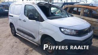 Opel Combo Combo Cargo, Van, 2018 1.5 CDTI 100 picture 1
