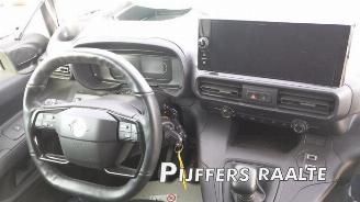 Opel Combo Combo Cargo, Van, 2018 1.5 CDTI 100 picture 12