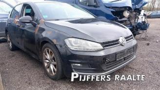 Volkswagen Golf Golf VII (AUA), Hatchback, 2012 / 2021 1.6 TDI 16V picture 2