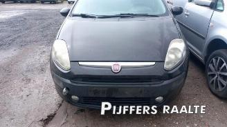 Fiat Punto Punto Evo (199), Hatchback, 2008 / 2012 1.3 JTD Multijet 85 16V Euro 5 picture 3