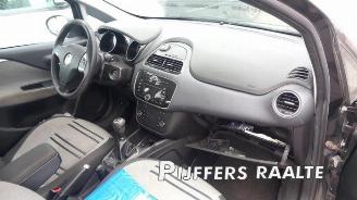 Fiat Punto Punto Evo (199), Hatchback, 2008 / 2012 1.3 JTD Multijet 85 16V Euro 5 picture 5