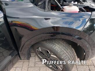 Kia Niro Niro II (SG2), SUV, 2022 e-Niro 64.8 kWh picture 29
