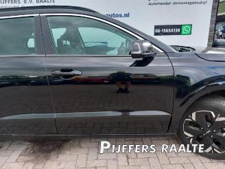 Kia Niro Niro II (SG2), SUV, 2022 e-Niro 64.8 kWh picture 13