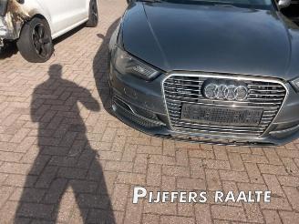 Audi A3 A3 Sportback (8VA/8VF), Hatchback 5-drs, 2012 / 2020 1.4 TFSI 16V e-tron picture 10