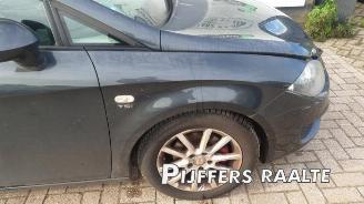 Seat Leon Leon (1P1), Hatchback 5-drs, 2005 / 2013 1.2 TSI picture 16