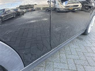 Mini Cooper S Cabrio 2.0 Cooper S Chili automaat 192PK picture 16