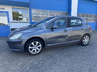  Peugeot 307 2.0-16V XS 2005/1