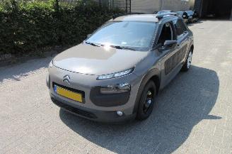 Citroën C4 cactus 1.2 Pure Tech picture 5