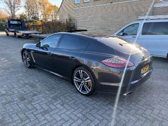 Porsche Panamera 3.0D Platinum Edition picture 5