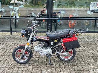 Unfall Kfz Motorrad Honda  Skyteam Dax 125cc 2009/9