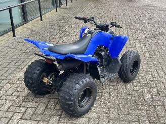 Yamaha  Raptor YFM 90 picture 3