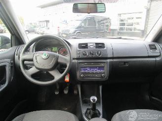 Skoda Fabia Combi 1.2 TDI Greenline picture 13