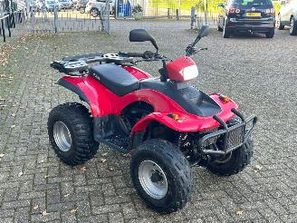 Quads  Eton Yukon 150cc Utility picture 7