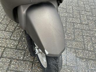 AGM  Wangye Maple picture 10