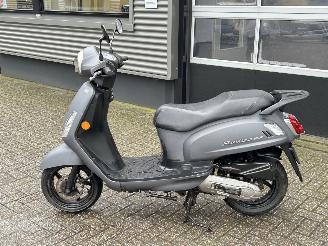 Sym  Fiddle 2 picture 2