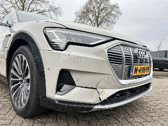 Audi E-tron 55 Quattro Advanced 95 kWh picture 41