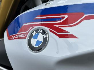 BMW  R 1250 R HP picture 10