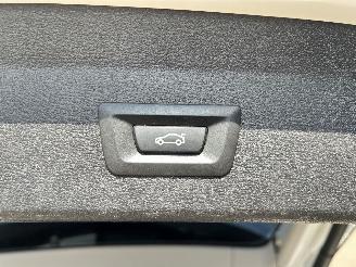 BMW X1 SDRIVE18I Centennial High Executive picture 16