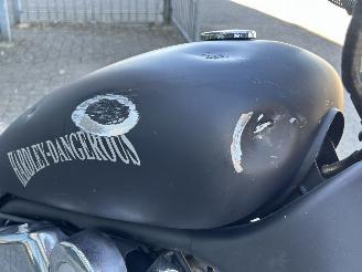 Suzuki VS 1400 Intruder picture 10