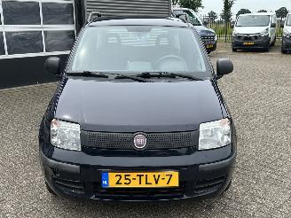 Fiat Panda 1.2 Active picture 8