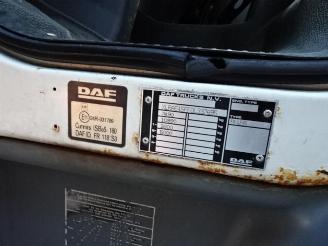 DAF FA 45 LF45G08 daf lf 45g08 6 meterbak met laadklep picture 10