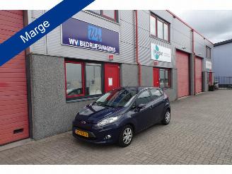 occasione autovettura Ford Fiesta 1.6 TDCi ECOnetic Trend 2012/3