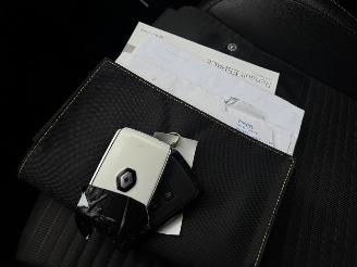 Renault Grand-scenic  picture 19