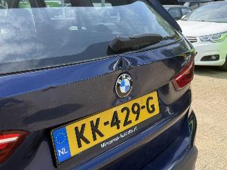 BMW X1 SDRIVE16D picture 12