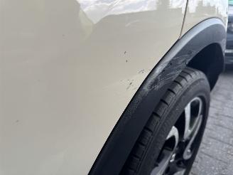 Renault Captur  picture 17