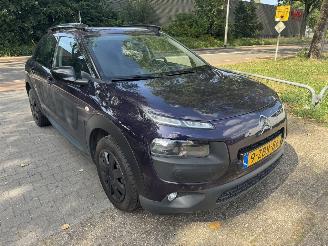 Citroën C4 cactus  picture 3