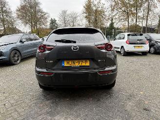 Mazda MX-30 e-SkyActiv R-EV 170 Advantage picture 4