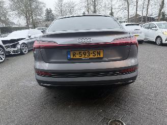 Audi E-tron 55 quattro edition 95 kWh  PANORAMADAK picture 6