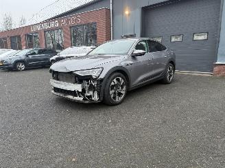 Audi E-tron 55 quattro edition 95 kWh  PANORAMADAK picture 31