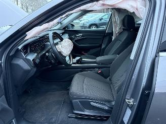 Audi E-tron 55 quattro edition 95 kWh  PANORAMADAK picture 13