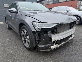 Audi E-tron 55 quattro edition 95 kWh  PANORAMADAK picture 9