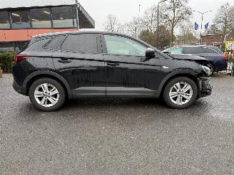 Opel Grandland 1.2 Turbo Online Edition (SUV 5-dr.) picture 2