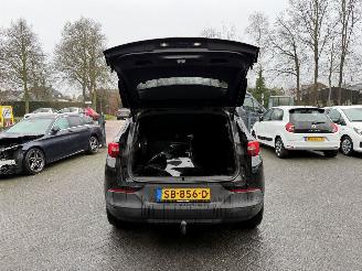 Opel Grandland 1.2 Turbo Online Edition (SUV 5-dr.) picture 14