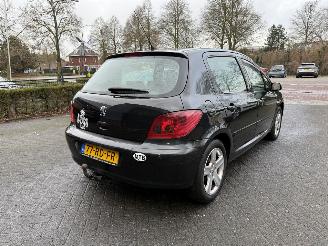 Peugeot 307 1.6-16V Griffe   LEER (Hatchback 5-dr.) picture 6