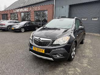  Opel Mokka 1.6 Cosmo (SUV 5-dr.) 2014/2