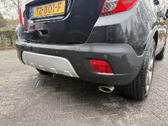 Opel Mokka 1.6 Cosmo (SUV 5-dr.) picture 37