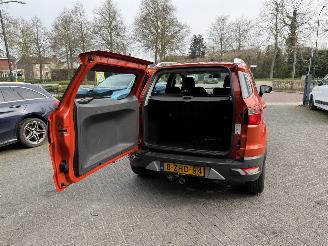 Ford EcoSport 1.0 EcoBoost Titanium (SUV 5-dr.) picture 18