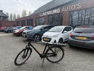  Stella  VINCENZA 2025/7