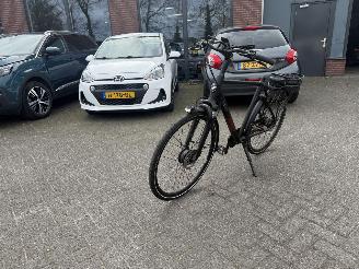 Stella  VINCENZA picture 9