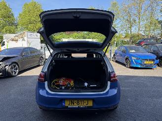 Volkswagen e-Golf e-Golf (Hatchback 5-dr.) picture 11