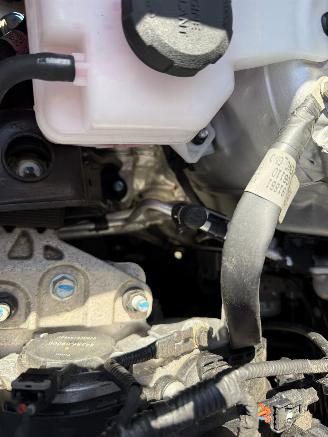 Kia Picanto 1.0 DPi DynamicPlusLine AUTOMAAT  (Hatchback 5-dr.) picture 9